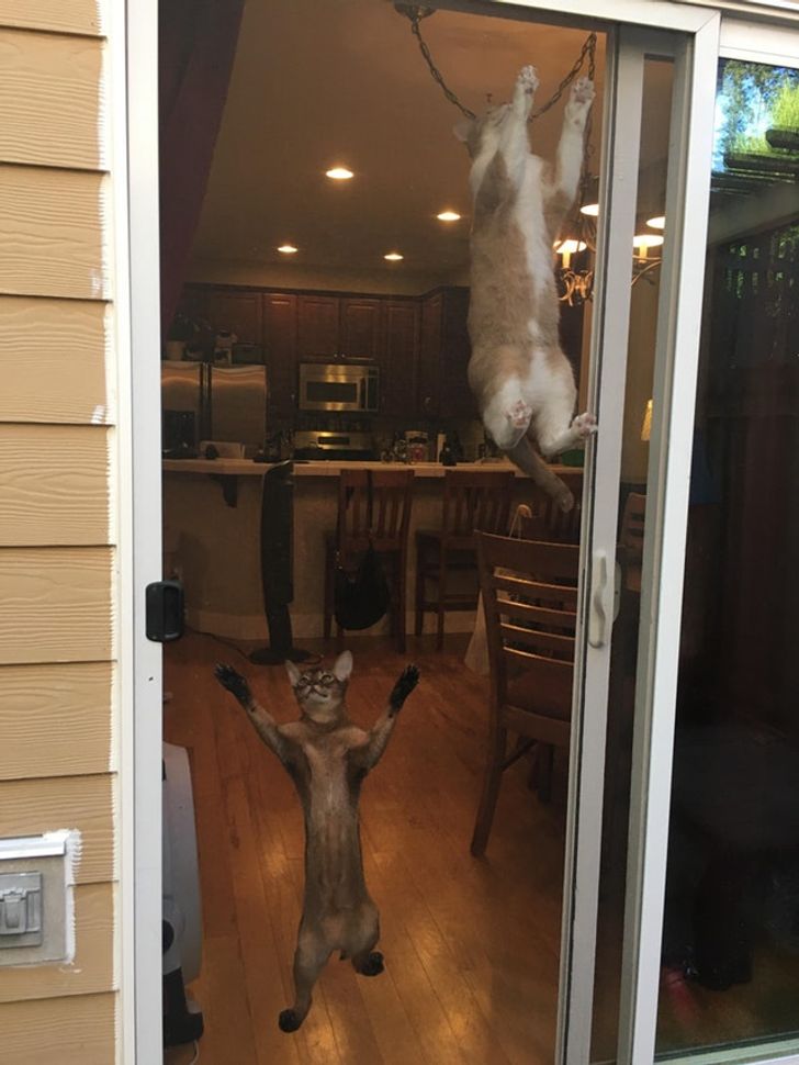 0004825dd2b54cc1d3d978e411