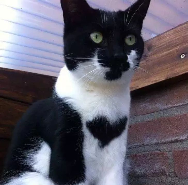 0005e55012ac85ecf2cf453757