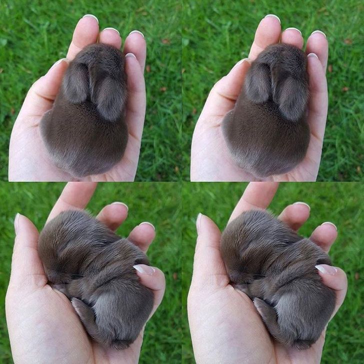 000c2551d4b2dd464a8fc1d86a