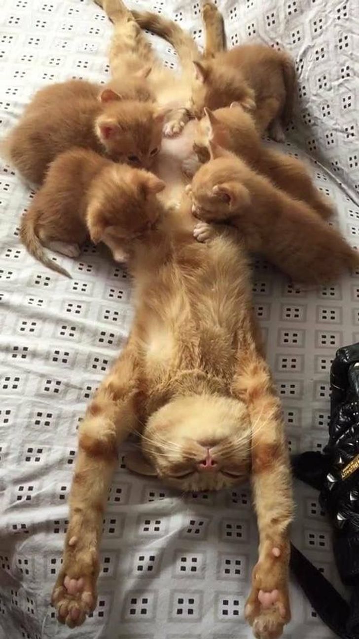 0011a5588aa40cbadb207464f9