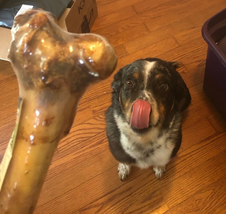 00124950aca941109481d2299e