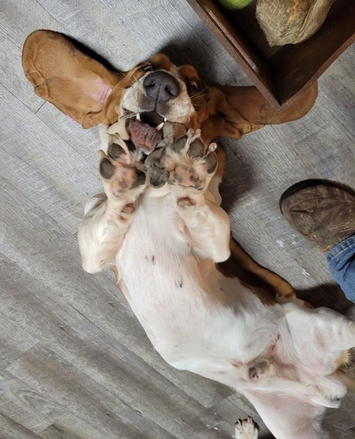 001cf151a3a1a12249e0f12ef8