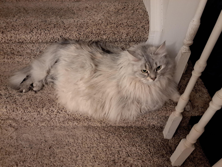 001dd559f0aaa8d39d41435d58