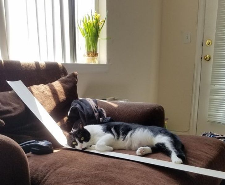 002d6e5699b63d33cf7e0596ab