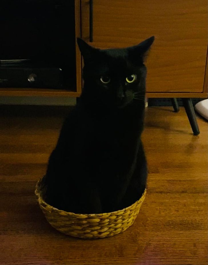 002f675f7e82279eb41f601777