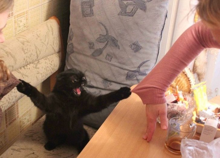 00423154afa39748e0188f34aa