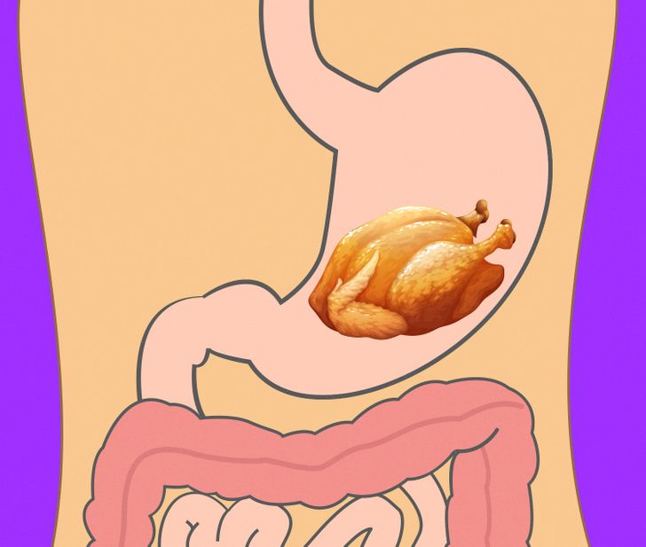 00473d5fed8f6fecf6e0ed074f