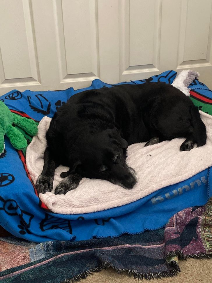 004e06538eac47e76c6bd17713