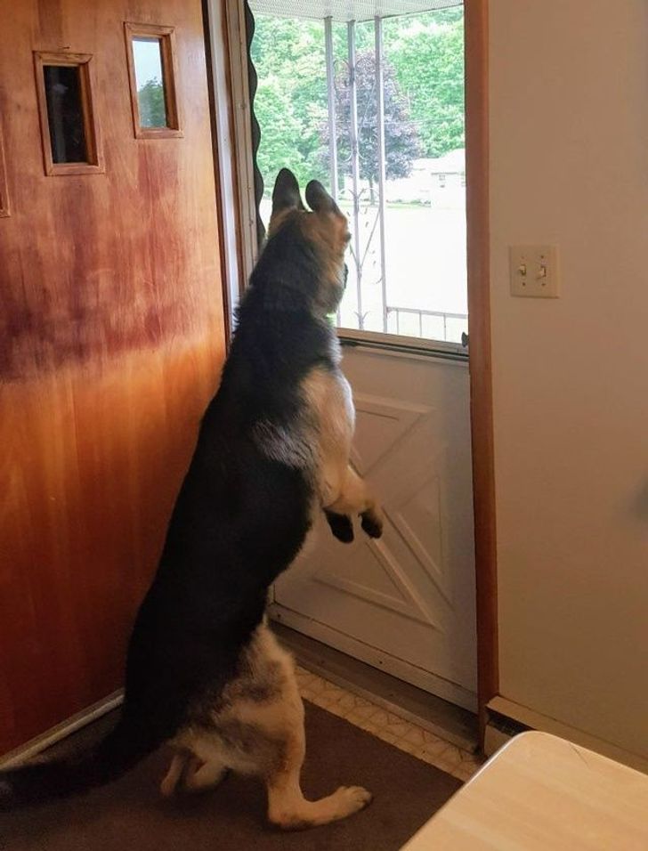 00537c58ed97b0f61867c734e3