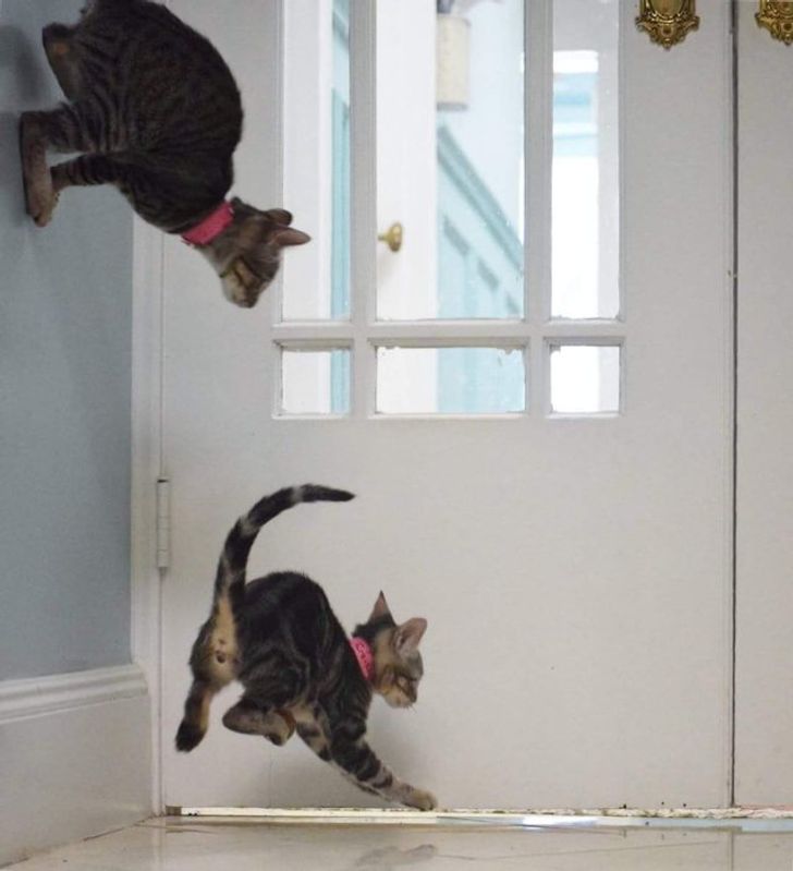 00540b53b58066973418571f46