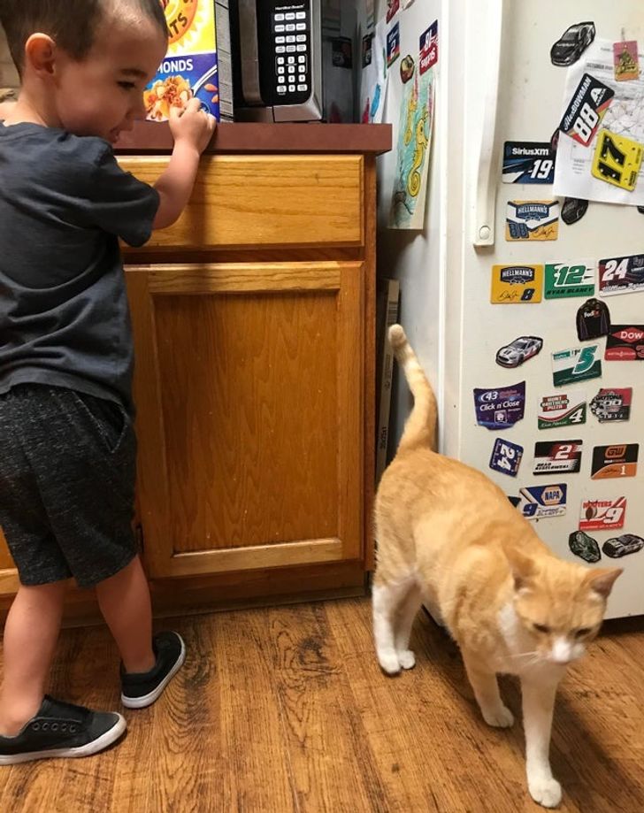 0055345138a4b67adda9d6a87a 0055345138a4b67adda9d6a87a