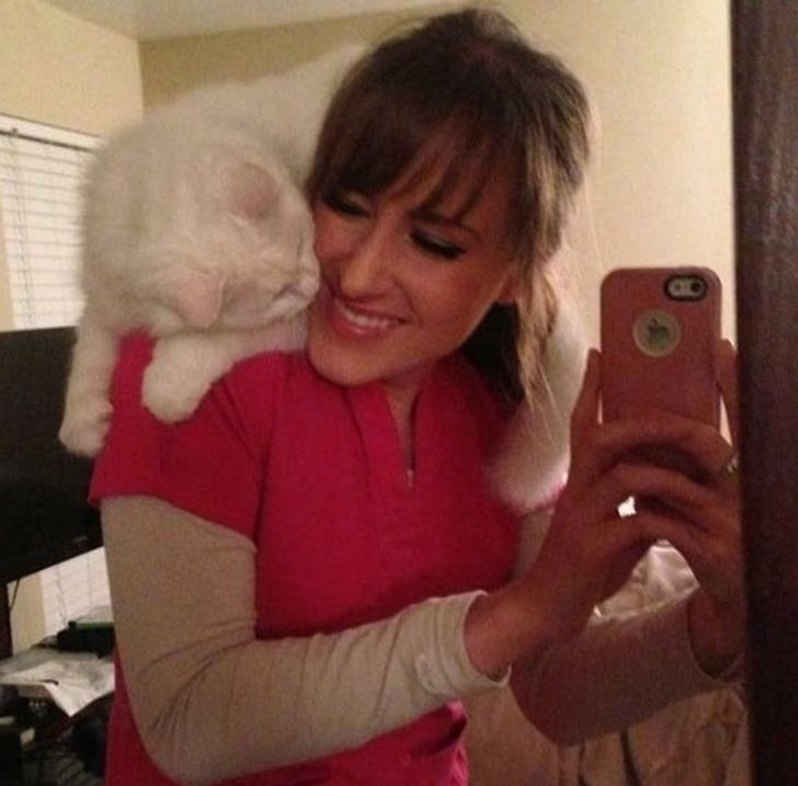 0058ef5761a0cc8b195384a539