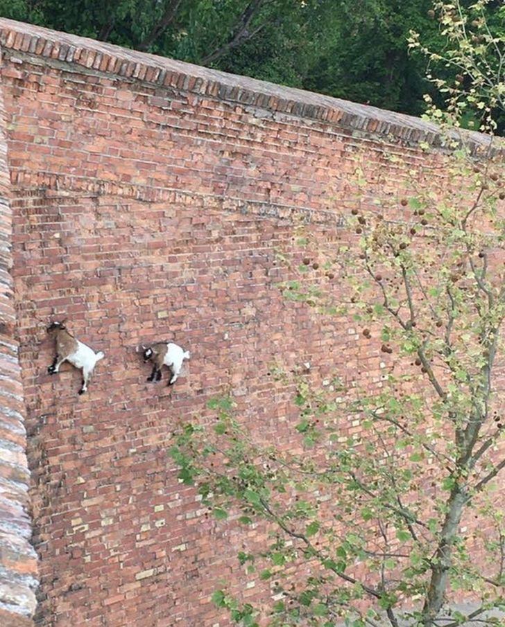 005c3951ddae34d2813c80769d