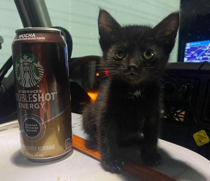 005eab5330a5cc31c47c646c5b 005eab5330a5cc31c47c646c5b