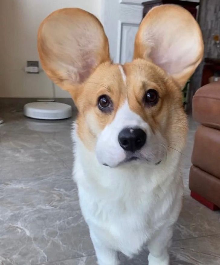 00697c54168c64088516dd4301