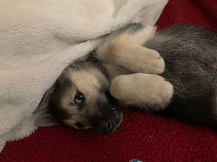 00741d55db94db77234861416b 00741d55db94db77234861416b