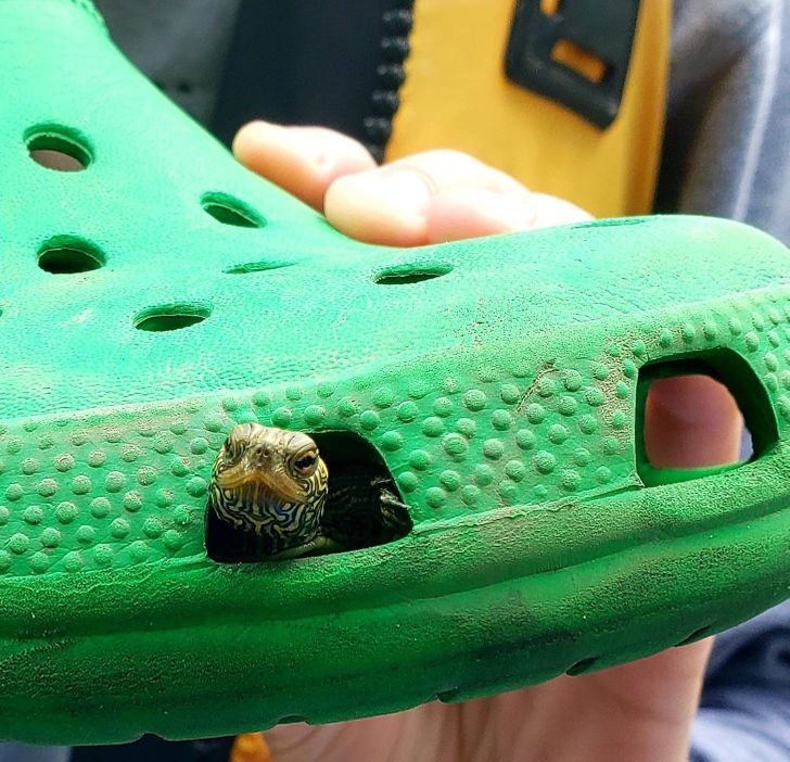 0079b45c44b97dfba3bfedc977