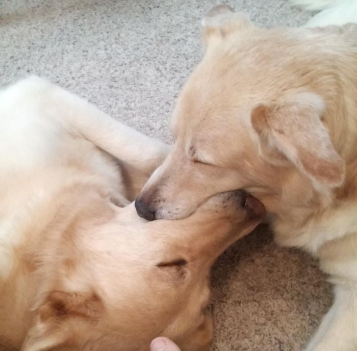 007cea5759a7fbc12321f1fddb