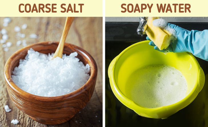 0086de56869a65158aba92bb07