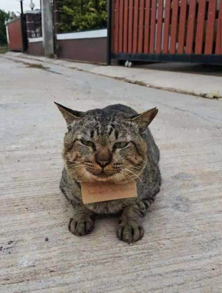 0094b75bceb5ca9405eae7917f