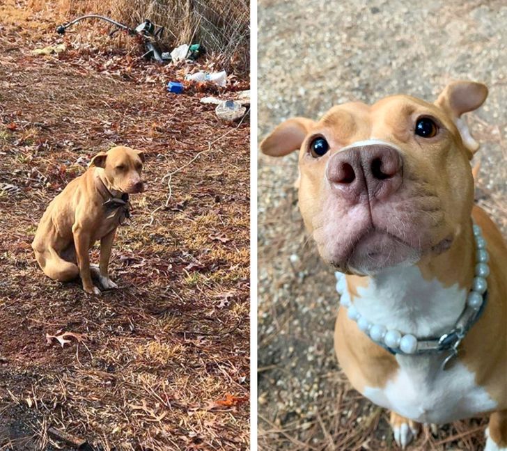 009886554e9c705bea2d3636d9