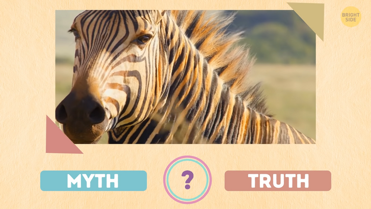 009af05a1e8ef60abdde6360a3