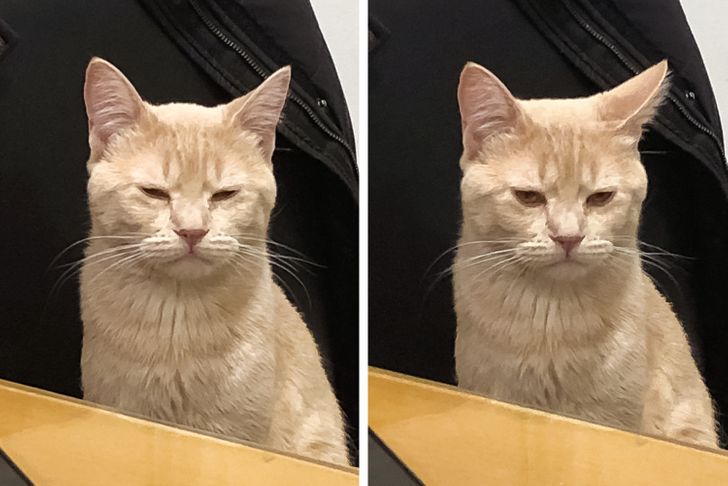 00a8495c0bb6c902a31c97c5c4