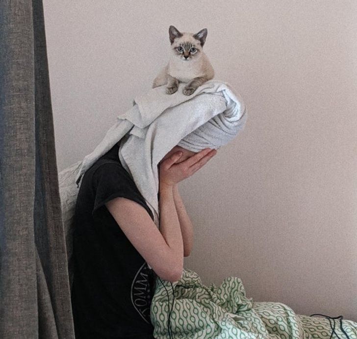 00aea95723b45a9745ba9785b7