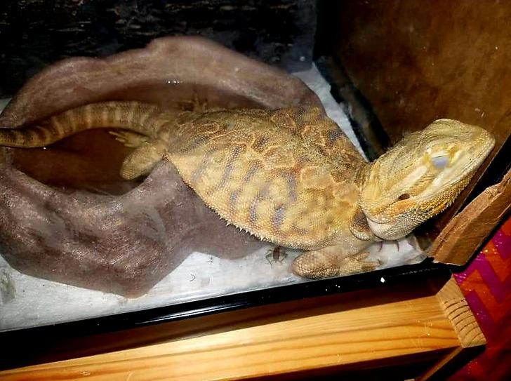 00aeb2510ca91bd9cb35735997