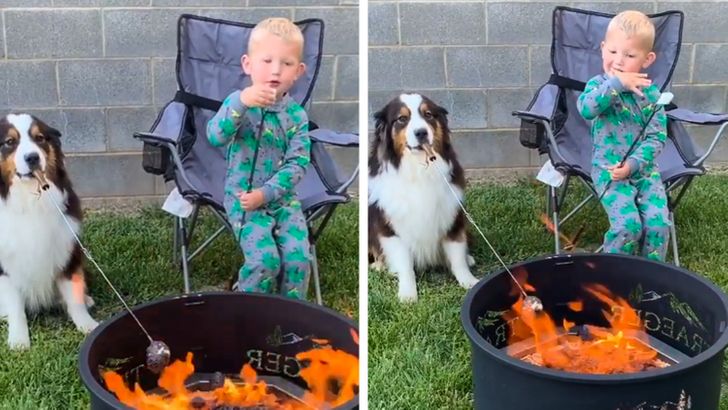 00b7185a46a3aaf0d03c41886b