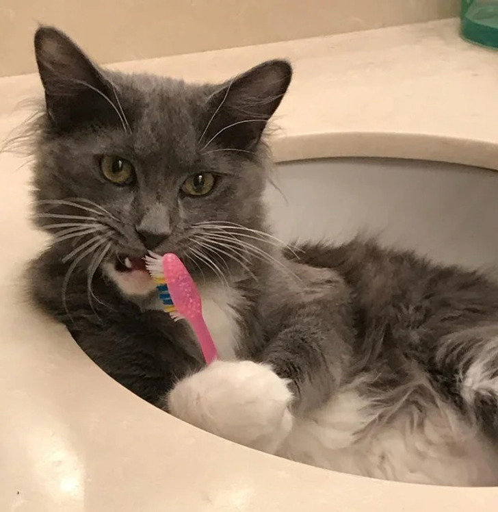 00d1165a468e7ed8017de4f97f