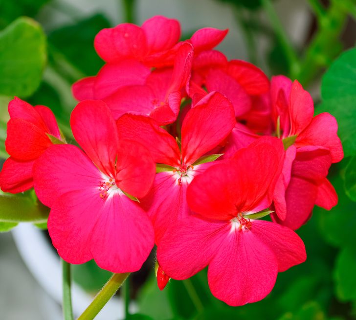 00d40252bf85b61d4ca425c0a5