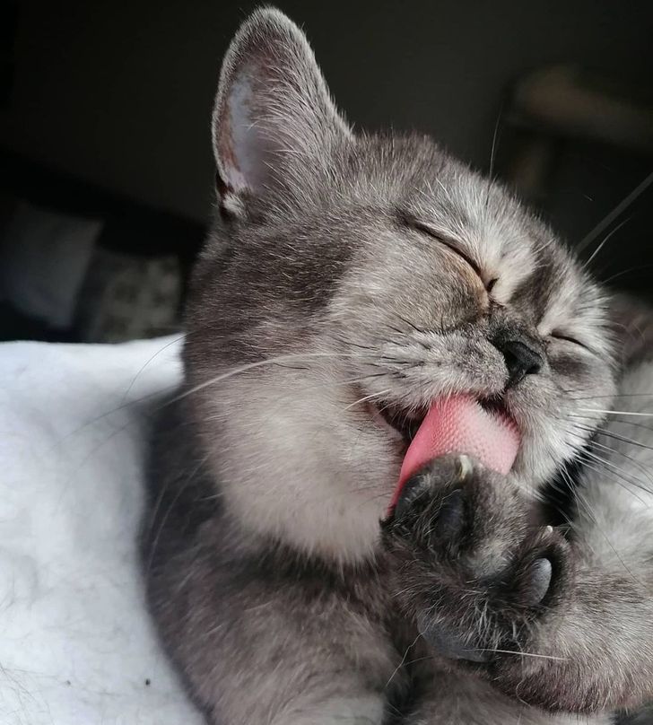 00d9ff5a3ea99d475f20677aaf