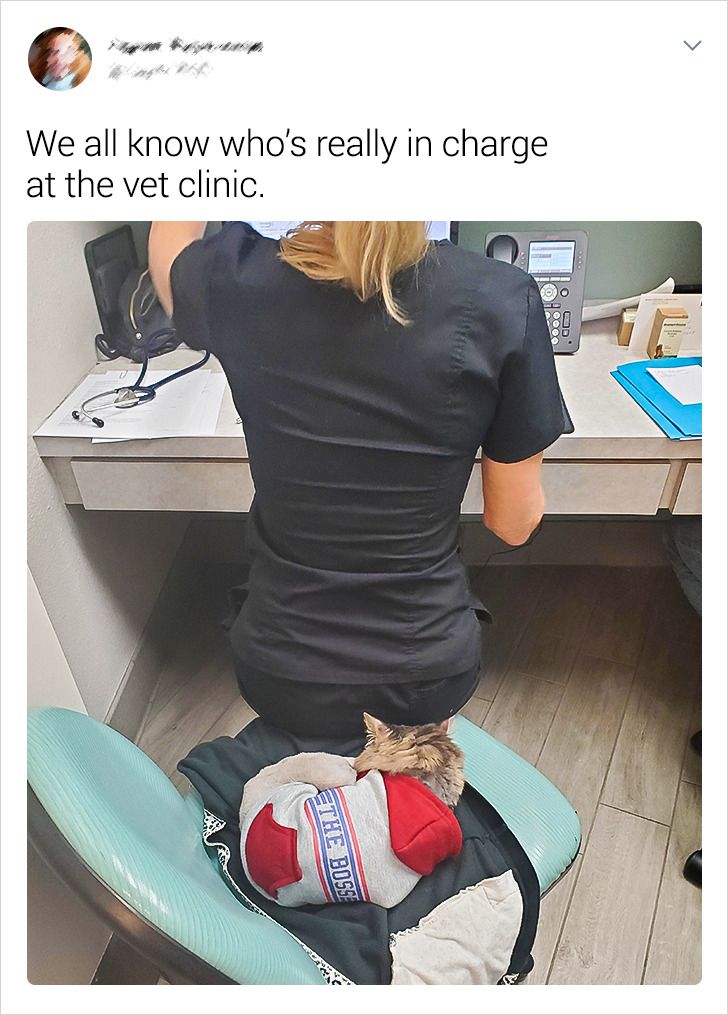 00dc885a2e8350c91a4a0c1fa9