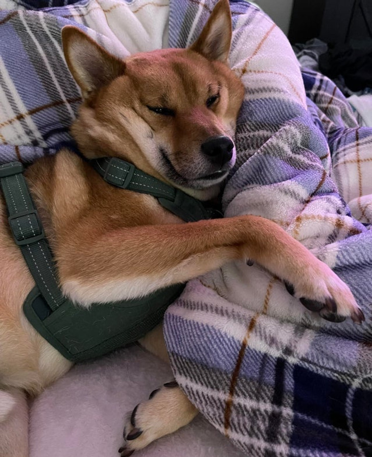 00e30f596f8608b9830336b5f9