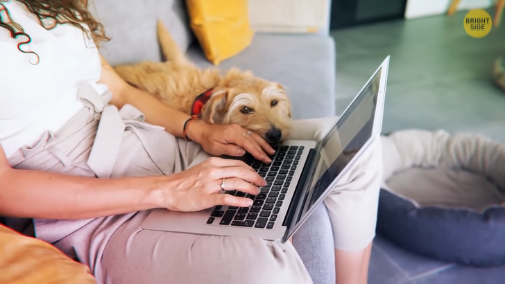 00e5bf5577ae3d6bd257b2ebca 00e5bf5577ae3d6bd257b2ebca