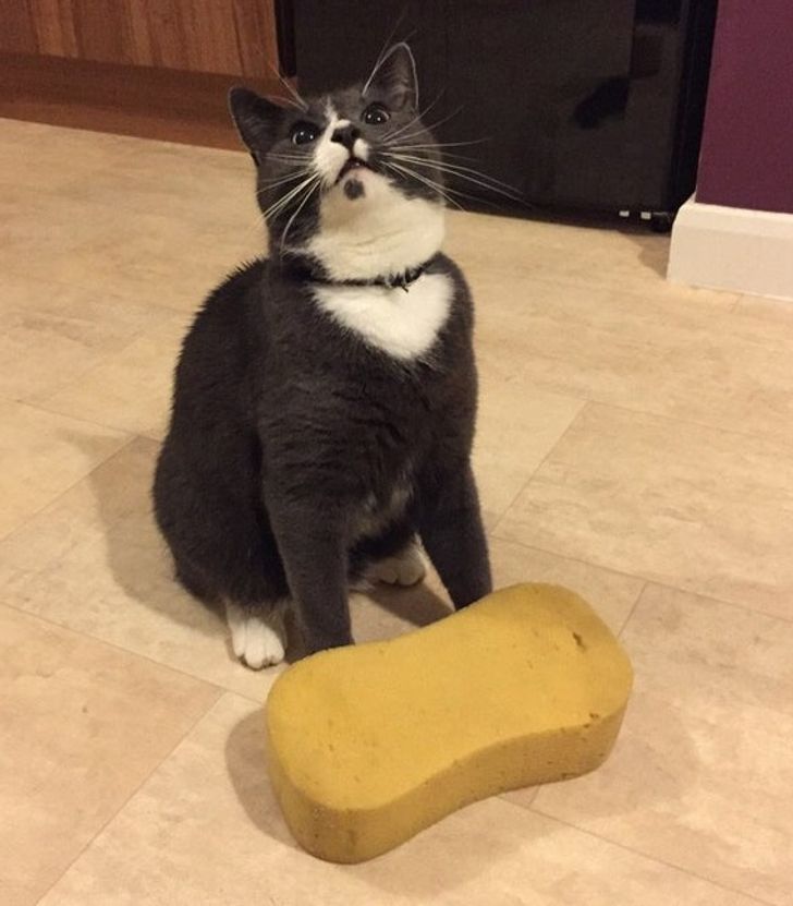 00ea505f4ca9cf562fdca6ccc8