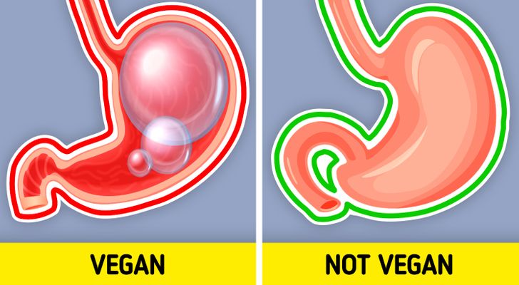 00ee2355f0908d52ca88c9f77f