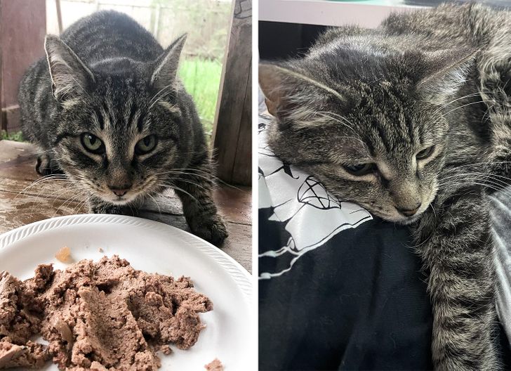 00f11f59408c542eed3068defd