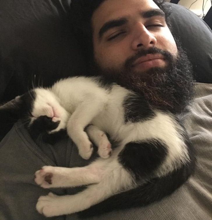 00f5e55d3a8a6f76295a76f347