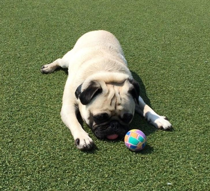 00f9cd5fbf809f78a6d1f0b8ca