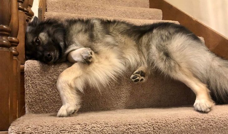 00fee95b0badf4f2ac44d42c73