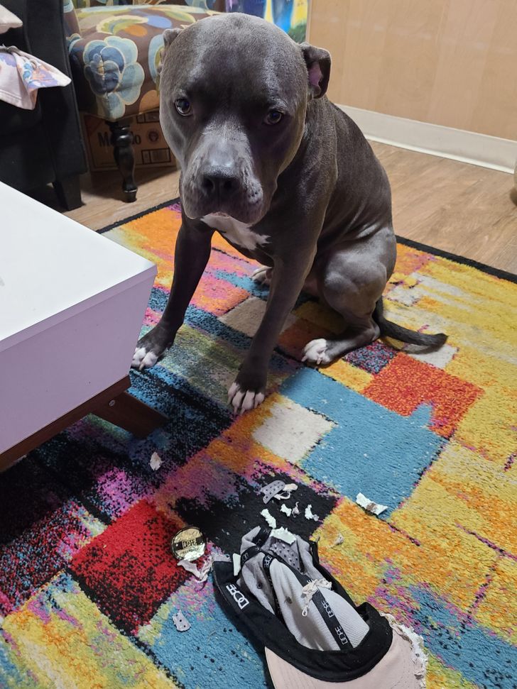 01044654b0a47829fc7394d39c