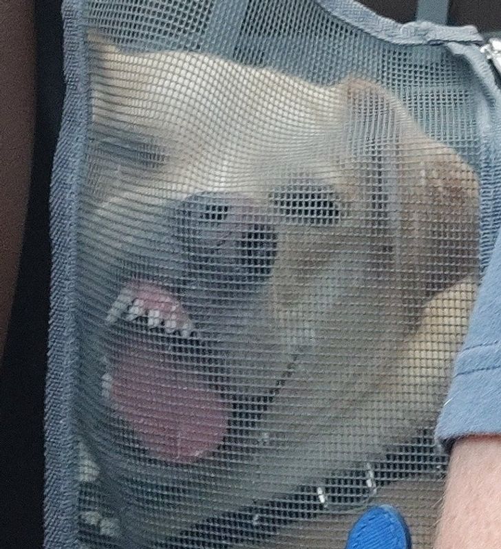 0104a951ad9bbcfb62c5d1fc3a