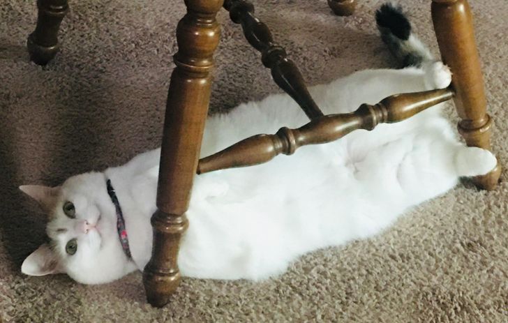 010e105f458b062ac4217d73ee