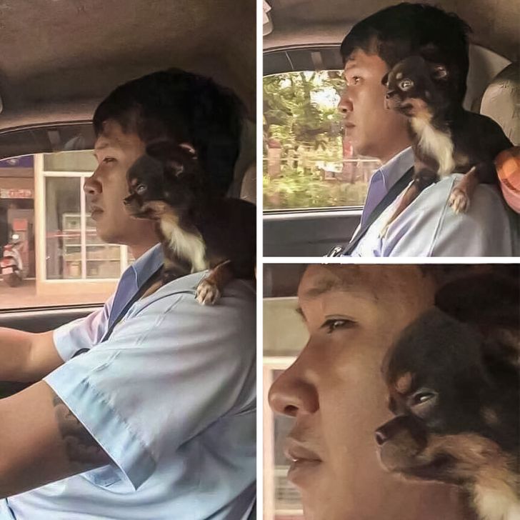 0113b9574ca3d91db4d6cf0bbe