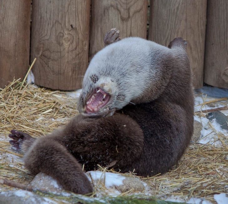 0115ad51b9b624d23db0eca92d