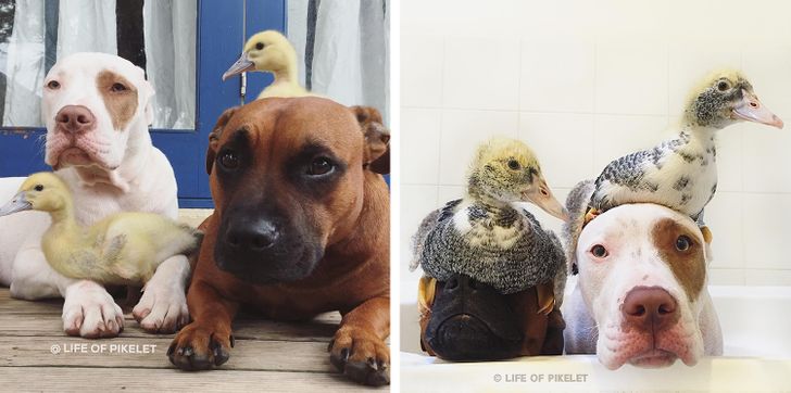 0125235988854529e0d04600df