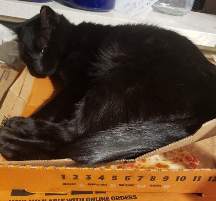 0125905766af2c1798c91ab9a6