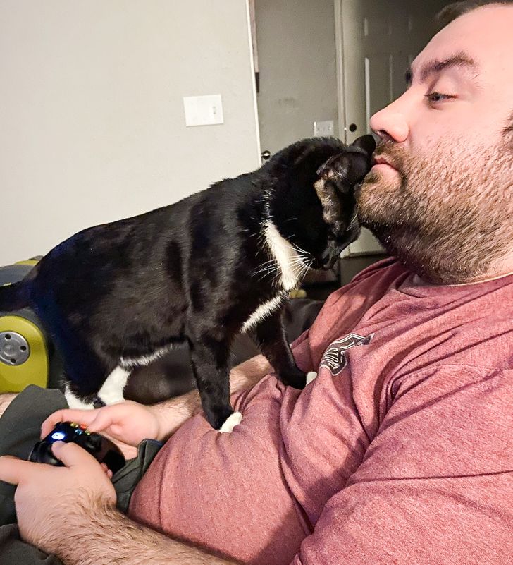 01264d5f1ebdf4895f0924fba7